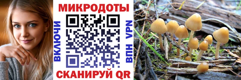 Галлюциногенные грибы MAGIC MUSHROOMS Дальнегорск