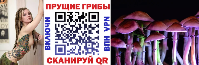 Псилоцибиновые грибы Cubensis  Дальнегорск 